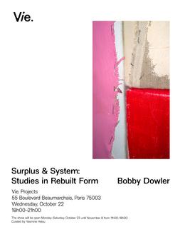 Bobby Dowler - SURPLUS & SYSTEM: STUDIES IN REBUILT FORM