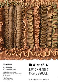 Affiche de l'exposition New Shapes de Bevis Martin & Charlie Youle