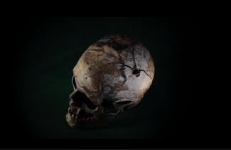 Maya Watanabe, Bullet, single-channel video installation, 2021 (video frame) 