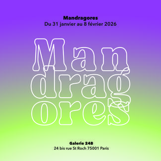 Mandragores sur fond dégradé