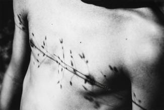 Résurgence, de la série Family Affair, ©Aimée Hoving