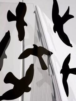 Autocollants d'oiseaux sur vitre