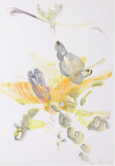 Barbara Ellmerer, Auxin 3, 2026, encre sur papier sur aluminium, 100 x 70 cm