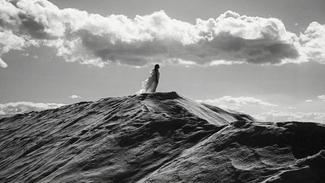 In Search of… Incredible