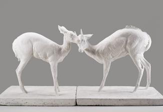 L'état sauvage. L'animal dans les collections du MAMCS et du Musée Zoologique