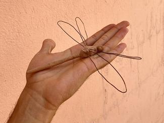 Open Space #19 Mohammad Alfaraj – I'd rather be a dragonfly than a lion