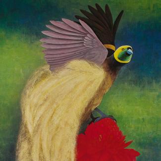 Plumes du paradis. Voyages d'un oiseau extraordinaire de Nouvelle-Guinée