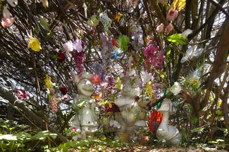Schatz & Jardin
