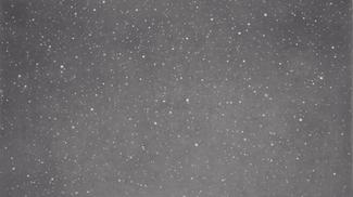 Vija Celmins