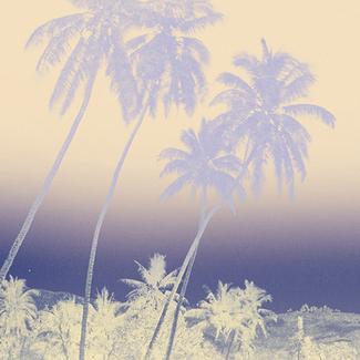 Voir Tahiti. Premières photographies 1859-1870