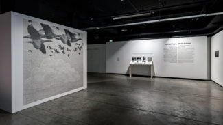 Birds Airlines, installation de Ziad Naitaddi