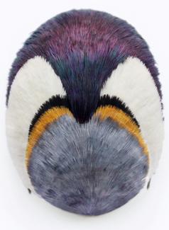 [EXPOSITION-FOCUS] Marion Delarue. Pierre, plume, ciseaux !