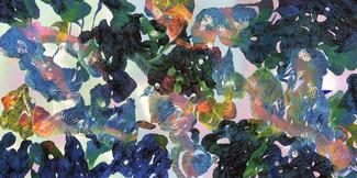 Samuel Levy, Under the Sea
