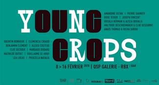 Young Crops