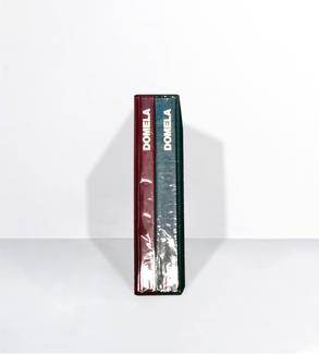 Catalogue raisonné de César Domela-Niewenhuis, peintures, reliefs, sculptures