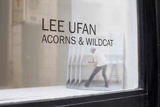 Lee Ufan Acorns & Wildcat