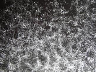 visualisation_musicale_du_morceau_chant_de_vision_i-thomas_leclere-d_galerie