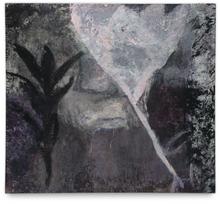 Plante, paysage - 2008