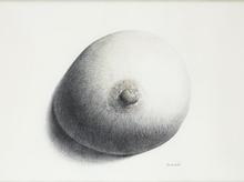 1403010155250186