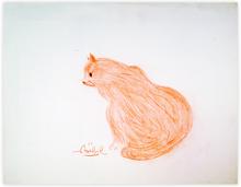 red cat — 
