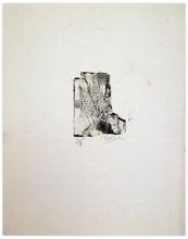 lino 2/9 - abstract — 