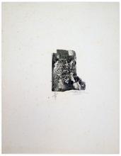 lino 9/9 - abstract — 