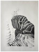 Les rochers - 1972