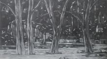 Les arbres de La Roque, 1976