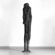 La Gelée blanche, 2001
