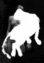 El Gato - 2010
