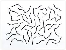 Formes serpentines 2 - 1990