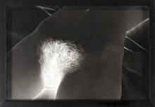 Le Buisson - 2008