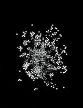 Les étoiles version D - 2000