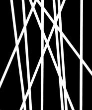 Lignes 41 - 1995