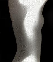 Satori n° 22 - 2012