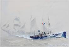 Arielle croisant un terre-neuvier