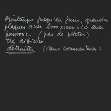 Plaques en acier et poissons, 1989