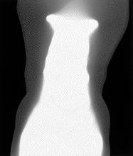 Satori n° 9 - 2003