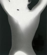 Satori n° 16 - 2008