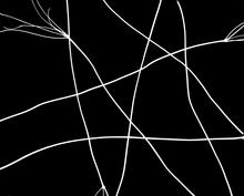 Vibrations A - 2021
