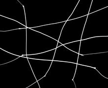 Vibrations B - 2021