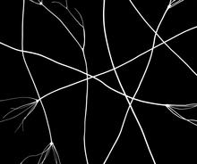 Vibrations C - 2021