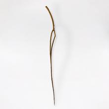 Sans titre, Bois vertical, circa 1973