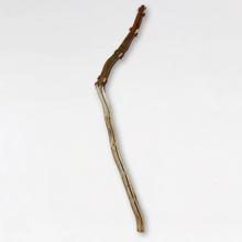 Sec, deux refentes entières - collé avec entretoises, partie équarrie, 1973