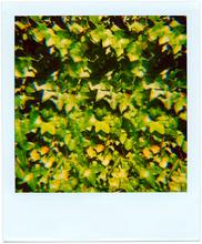 Pola-vibrations 25 - 2008