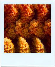 Pola-vibrations 27 - 2008