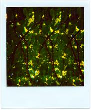 Pola-vibrations 32 - 2008