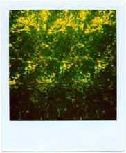 Pola-vibrations 34 - 2008