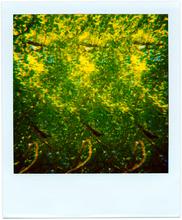 Pola-vibrations 38 - 2008