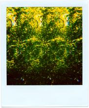 Pola-vibrations 40 - 2008